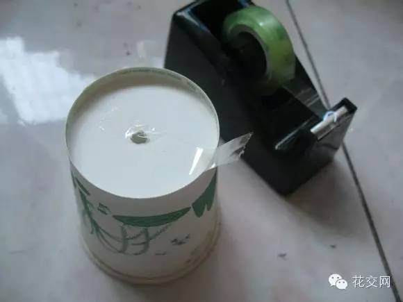 图解 栀子花折枝爆盆的方法