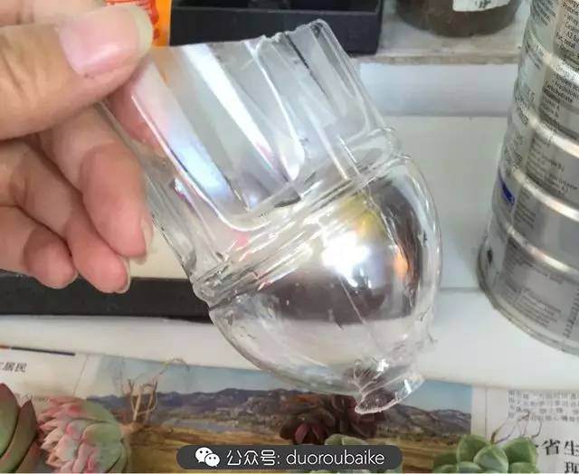 多肉上盆小贴士 介绍两个多肉上盆神器