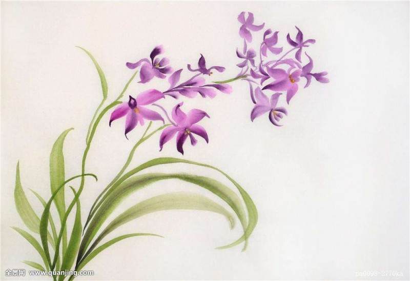 兰花上盆的过程与瓦盆上盆大同小异