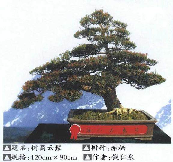 建瓯市首届花博会于208年10月成功举办