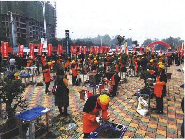 南阳市唐河县拉开了第三届盆景创作大赛的序幕