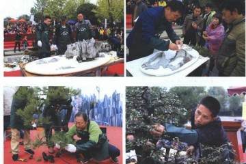 2019年 遵义金弹子盆景展