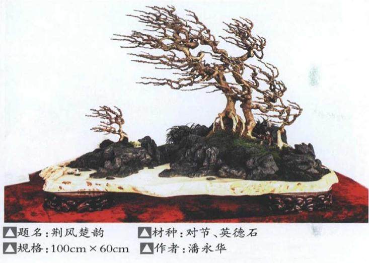 2019年北京世园会盆景国际竞赛湖北参展