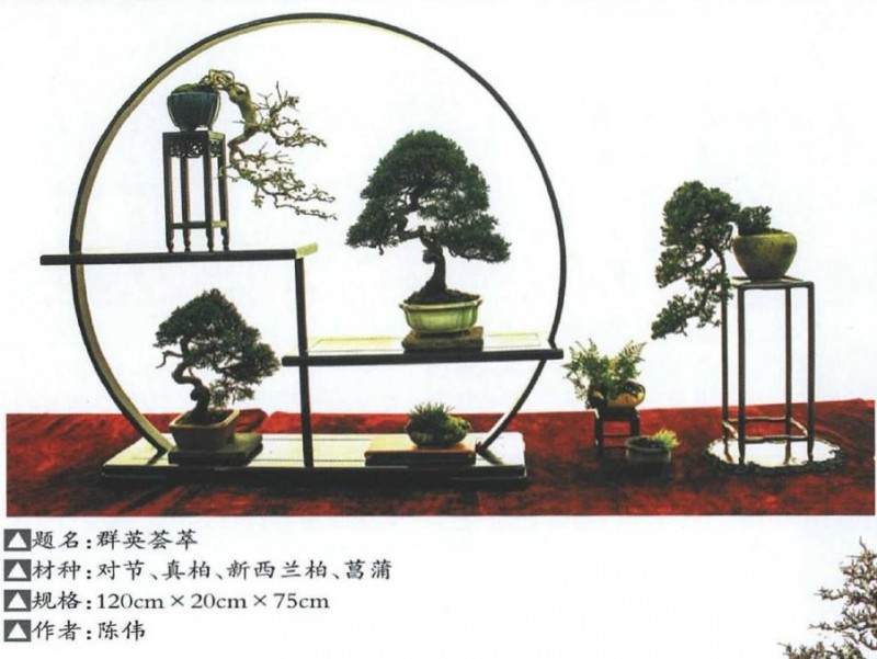 2019年北京世园会盆景国际竞赛湖北参展