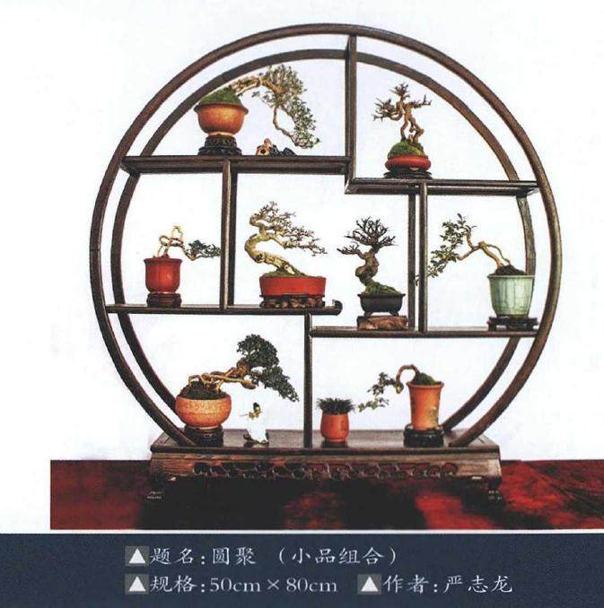 2019年北京世园会盆景国际竞赛湖北参展