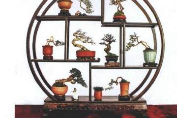 2019年北京世园会盆景国际竞赛湖北参展