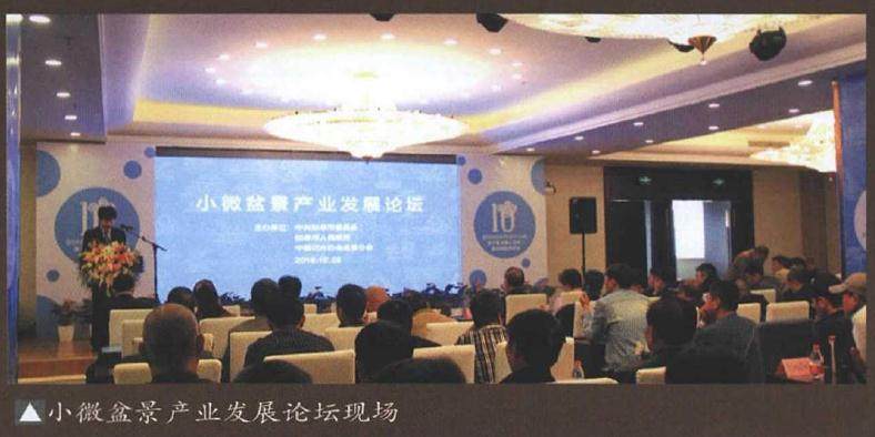 如皋小微盆景实景展在中国国际园艺城盛大开幕