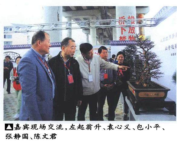丽水市承办的首届盆景文化艺术展