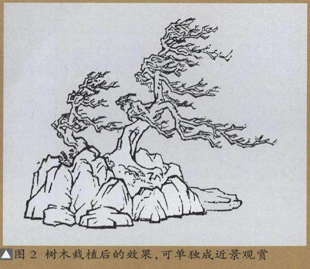 树石盆景的石料处理方法