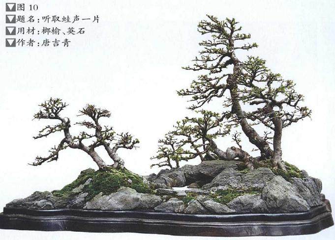 景盆在制作时要需要注意以下3点