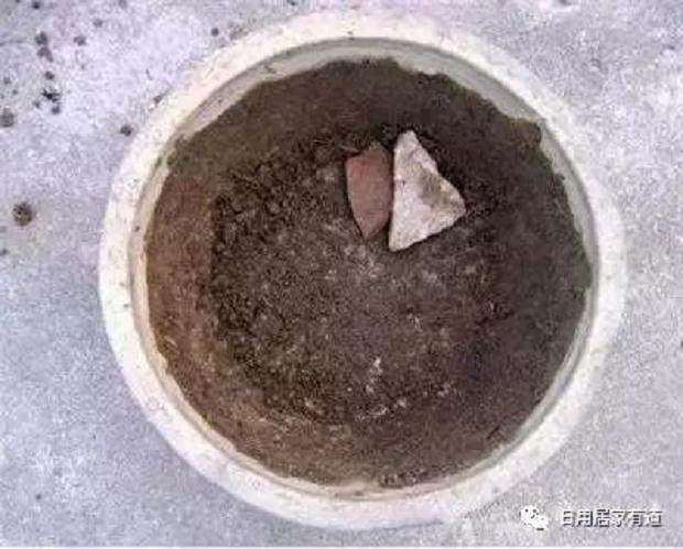 教你如何花卉翻盆换土 花友们值得收藏看看?