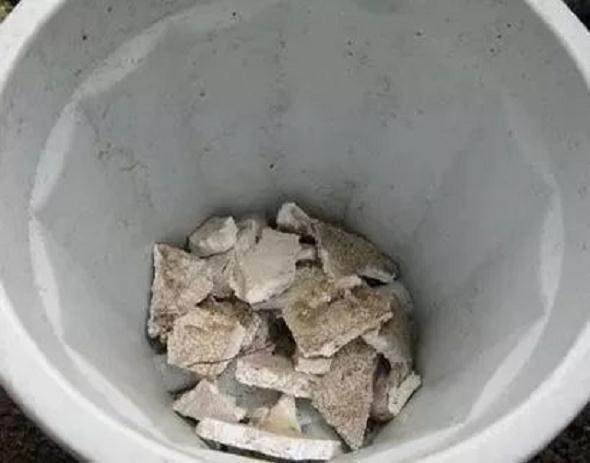 花市买回的花 要换盆换土吗?看老花匠的解释