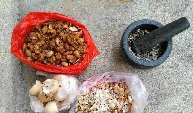 养花盆里加一些它 十年不用换土 照样长势旺