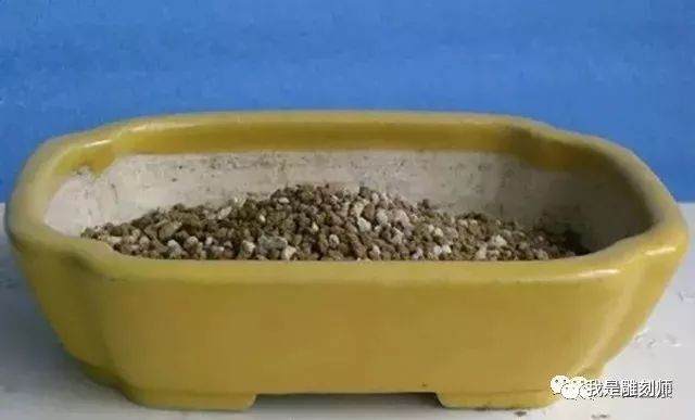 图解 盆景怎么换盆的10个过程