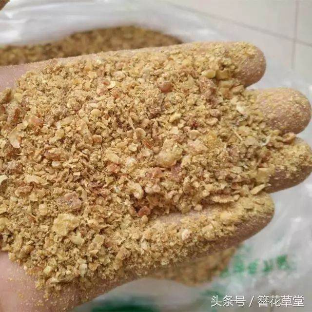 干货!养花土壤板结怎么办?不用松土换土