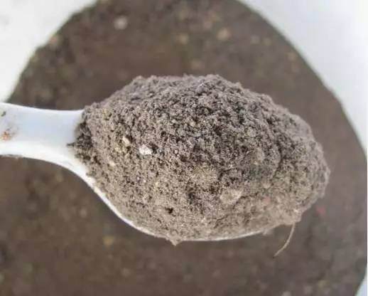 跟着我的步骤来改善盆栽土壤质量