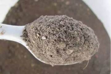 跟着我的步骤来改善盆栽土壤质量 图片