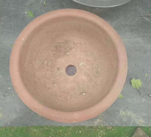 熟桩盆景素材后 如何换盆?