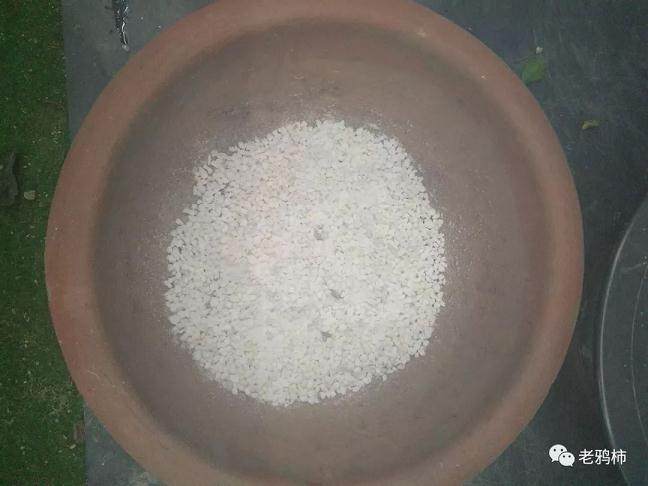 熟桩盆景素材后 如何换盆?