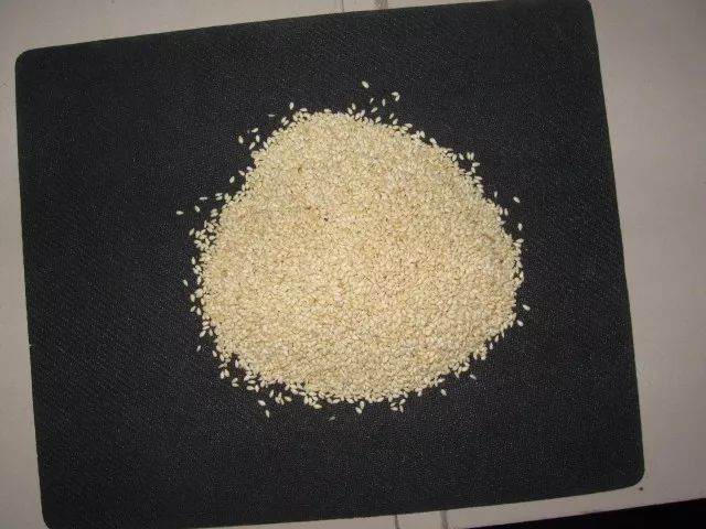 图解 兰花换盆的5个步骤 图片