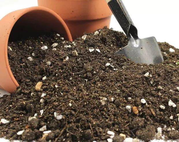 秋天盆栽换盆后旧土和花盆还能用吗?