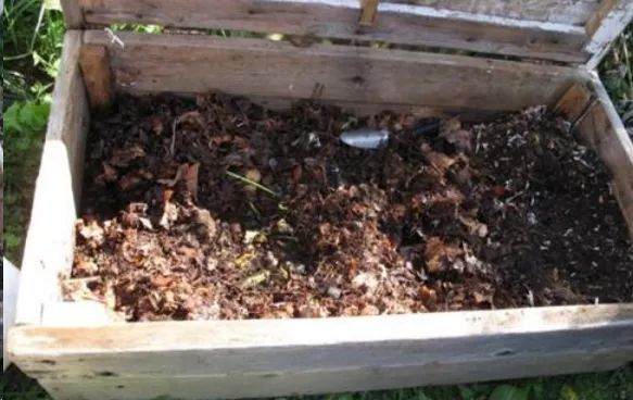 秋天盆栽换盆后旧土和花盆还能用吗?