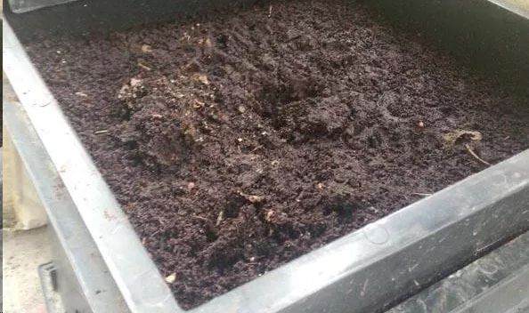 秋天盆栽换盆后旧土和花盆还能用吗?