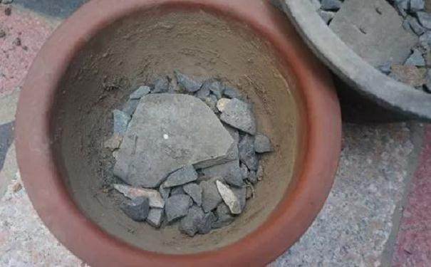 图解 发财树换盆的4个步骤