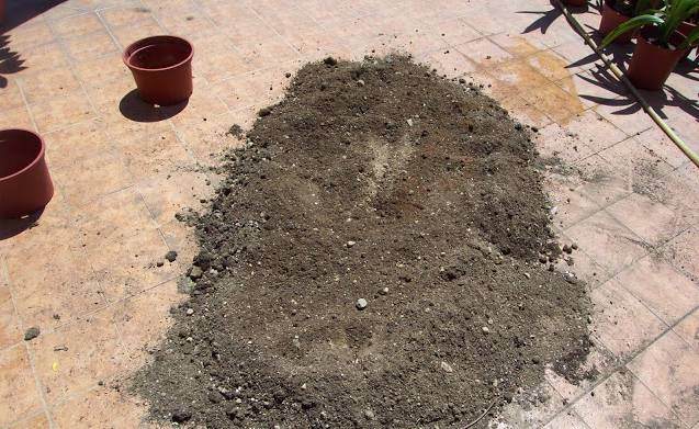 盆栽换盆后的花盆和旧土要怎么处理才能用?