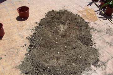 盆栽换盆后的花盆和旧土要怎么处理才能用？