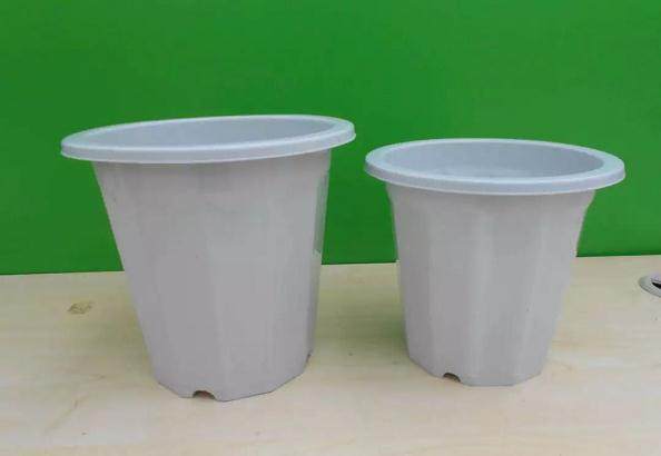 图解 给花盆换盆的4个步骤 图片