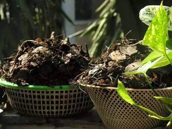 花卉培养土的种类较多 常用的有哪些?