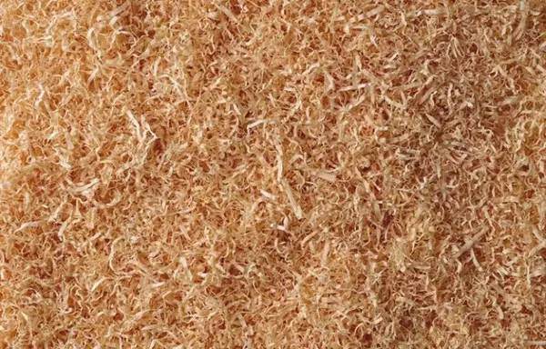 花卉换盆的季节 我们来了解一下花土!