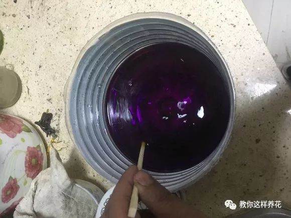 养花换盆不修根 等于白换 后悔都来不及!