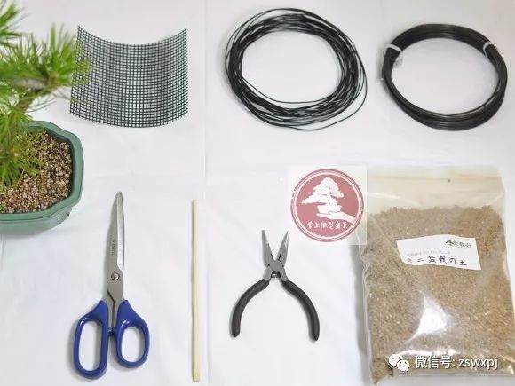 图解 微型盆景怎么换盆 17幅图片