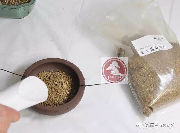 图解 微型盆景怎么换盆 17幅图片