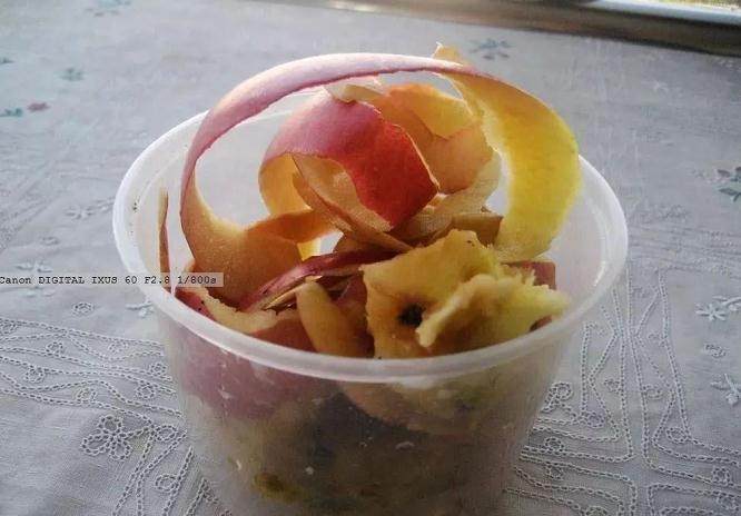 图解 养花旧土加点它 赛过营养土 图片