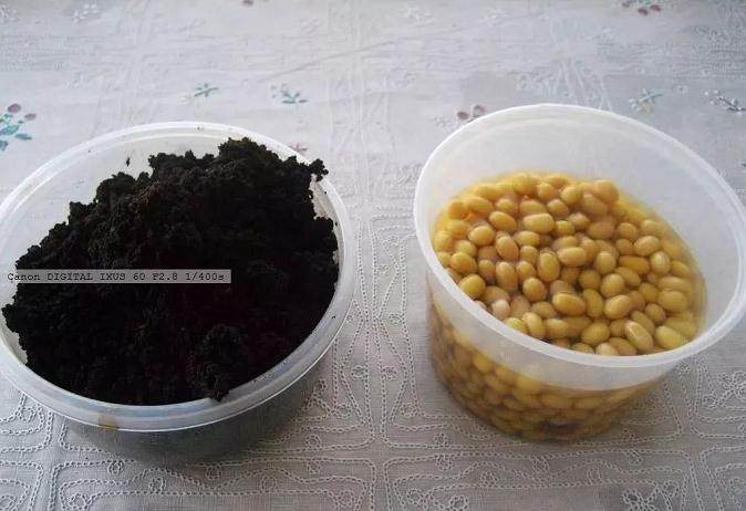 图解 养花旧土加点它 赛过营养土 图片