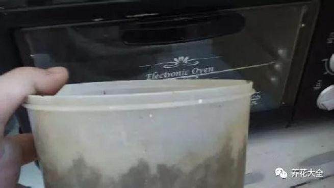 花卉土壤的消毒方法 图片