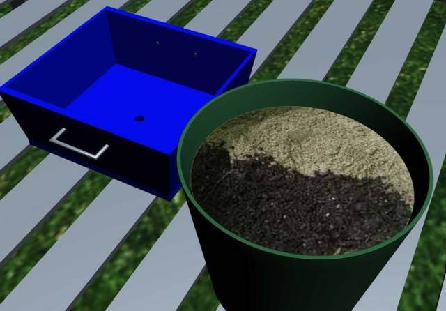 盆栽植物什么时候需要换盆?