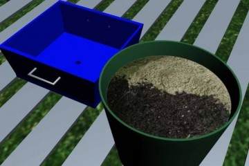 盆栽植物什么时候需要换盆 图片