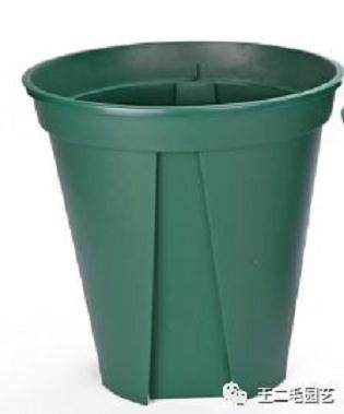 冬季 手把手教你 怎么给盆景换盆?