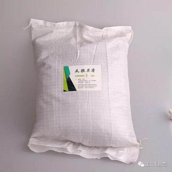 冬季 手把手教你 怎么给盆景换盆?