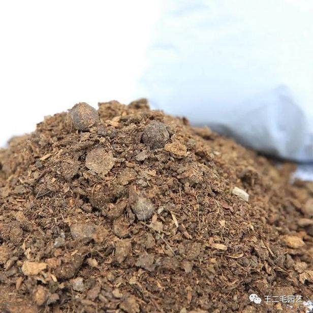 冬季 手把手教你 怎么给盆景换盆?