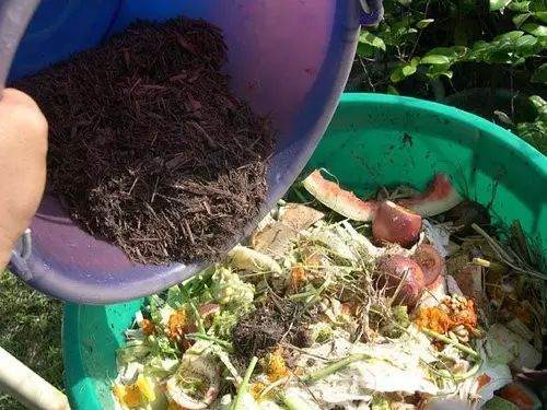 养花换盆时这么做 植物远离病虫害