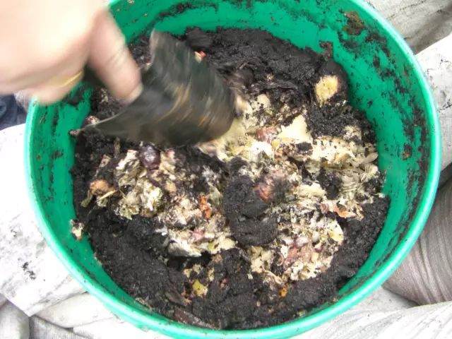 养花换盆时这么做 植物远离病虫害