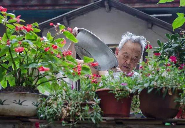 为什么你家的花换盆就死?千万别乱换了!