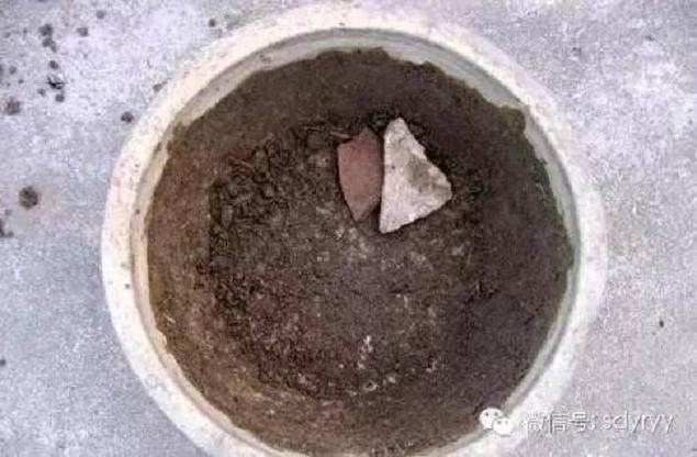 春天是花卉换盆的最佳季节