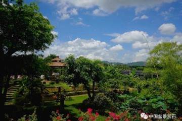 走进中盆协副会长刘宁胜的盆景世界