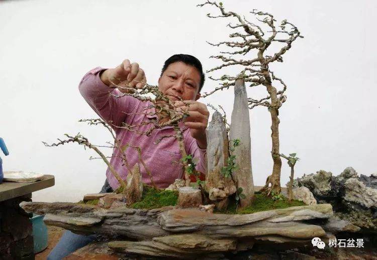 刘传刚博兰盆景系列之三——《风动式盆景篇》